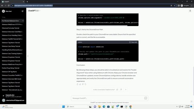 selenium chrome invalid argument