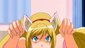 Anime girl love in s..x with boyfriend in cat dress Kanojo ga Nekomimi ni Kigaetara