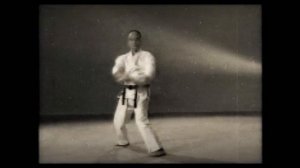 17 Каратэ. Наследие Накаямы. Ката Хангецу