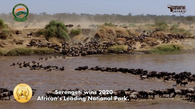 Gosheni Safari Africa - Serengeti National Park смотреть онлайн