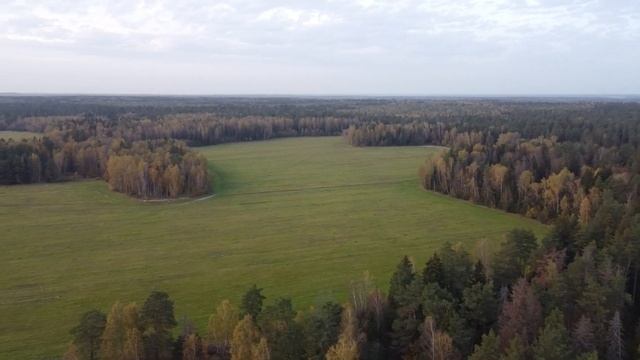 Осенний полет. Московская область смотреть онлайн