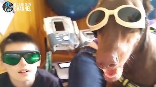 This is What This Brave Kid Did to Save His Beloved Dog смотреть онлайн