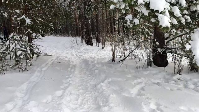 Зависли на тропе здоровья ❄️☃️