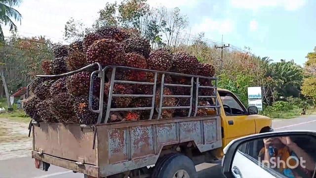 Праздничный рынок в Прачуап. смотреть онлайн