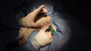 3 минуты хирургии - пункция плечевого сустава