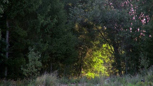 Зарисовки: Август, Ленинградская область, д. Раболово смотреть онлайн