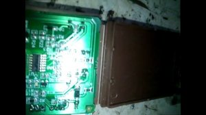 Daewoo Nexia -  Не работает зуммер