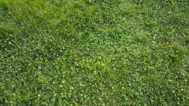 Фестиваль фонариков смотреть онлайн