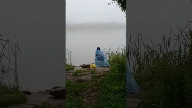 Туман на лебяжьем озере в барнауле возможно Юрий Шатунов был  в барнауле