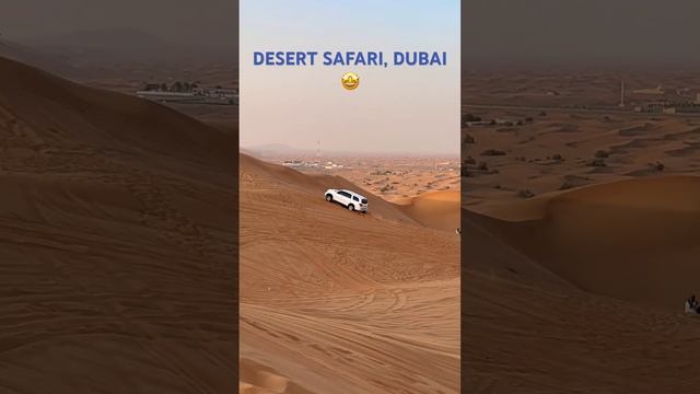 Desert safari view - Honeymoon tour Dubai clip ❤️#desersafardubai #safaricar