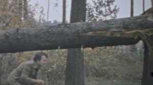 СНЕЖИНКИ-ПУШИНКИ (инструментальная фантазия Клеменса)