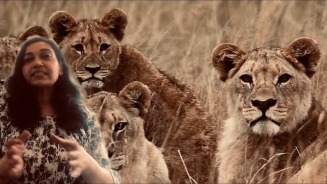 Kar lo tyari the World largest safari now in India | Sushma Singh | смотреть онлайн