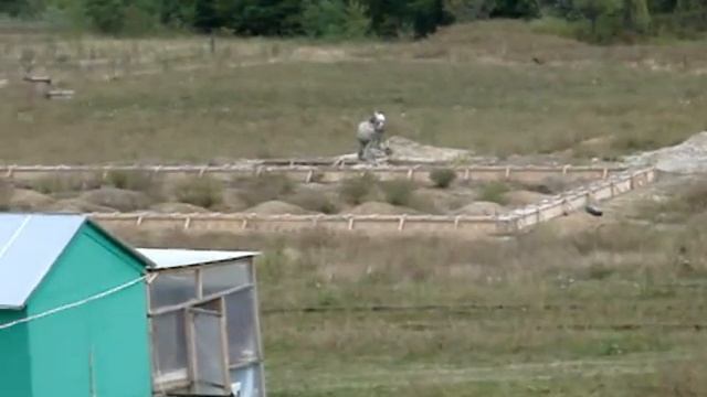 Презентация Дома Пуруш. Часть 2 смотреть онлайн