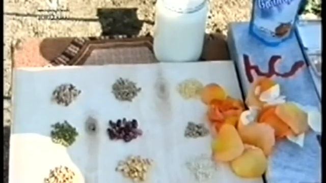 Всемирные семейные беседы Махариши 2008.05.19 смотреть онлайн