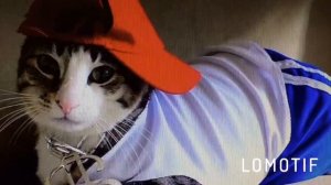 Здравствуй , Это я