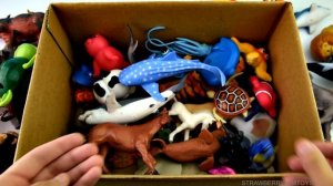 Box of Wild Zoo Animals Learn Animal Names Lots of Safari Animal Planet Educational Toys For Kids