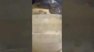 Индийский морской рис прекрасно живет без изюма