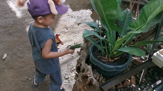 Mindful Activity at Home: Going On A Safari | A Mini Field Trip at Mommyla's Garden смотреть онлайн