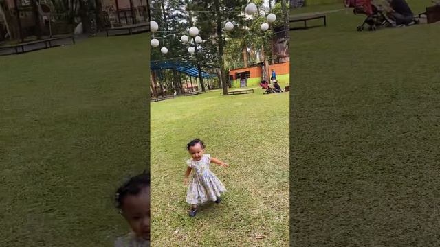 Review Giraffe Suite - Royal Safari Garden Resort & Convention смотреть онлайн