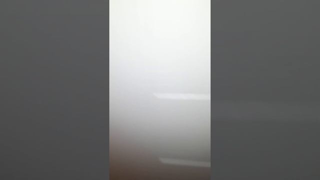Металлические и межкомнатные двери