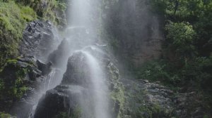 Водопад в лесу, видео 4к