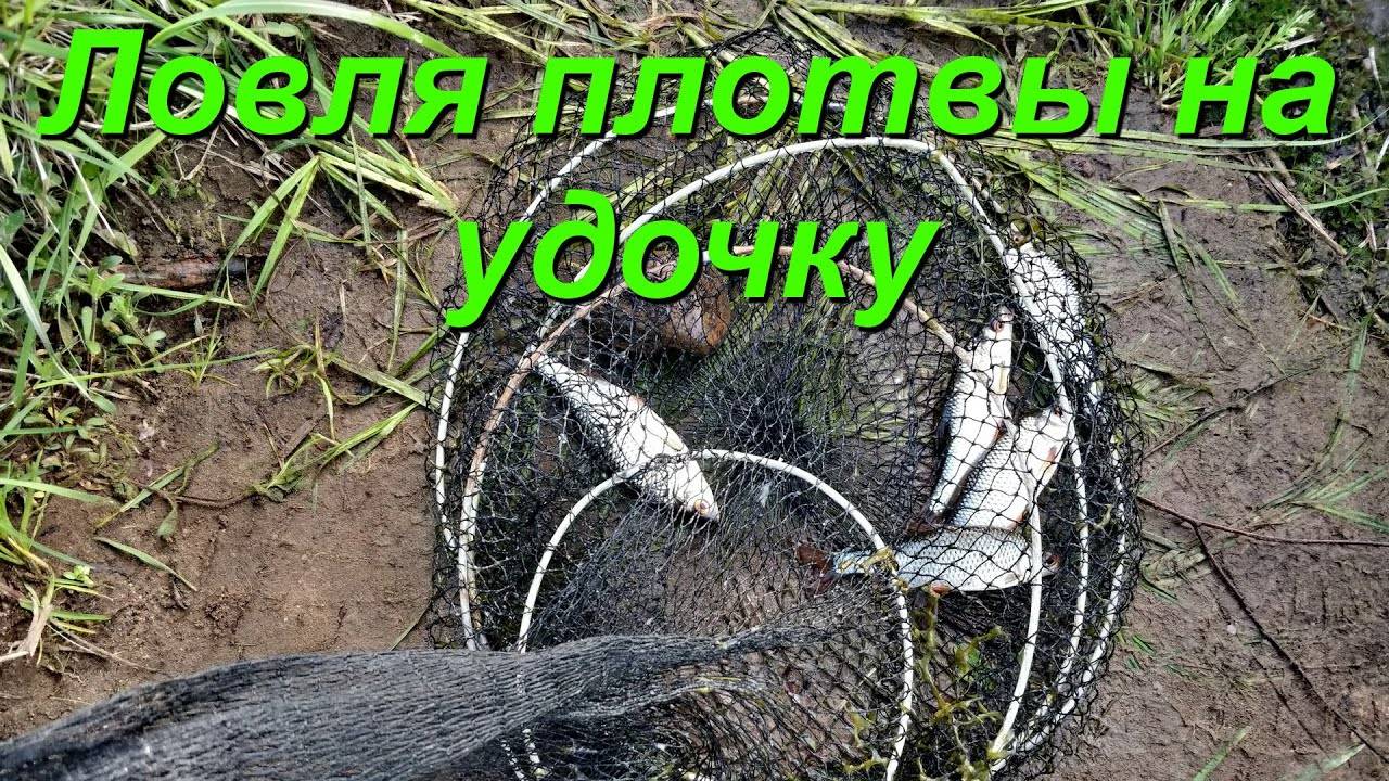 Рыбалка В Подмосковье Ловля Плотвы На Удочку Весна Озеро