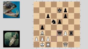 Stockfish 14 vs Cfish Modern  |  Mini Chess Engine Tournament  |  Collection #26