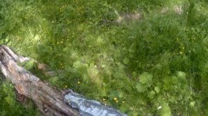 УАЗ Форвард Сафари 510