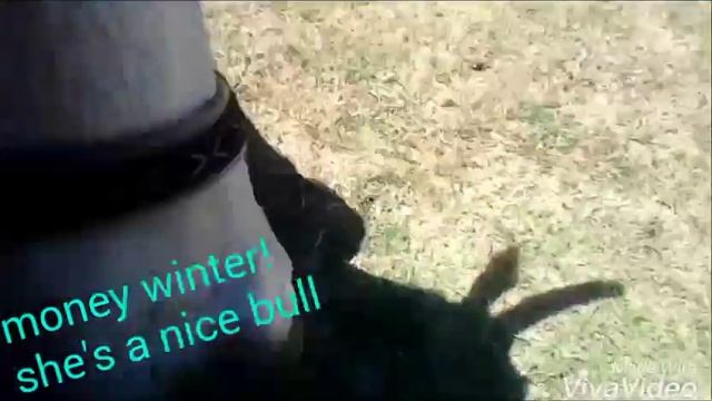 Window maker смотреть онлайн