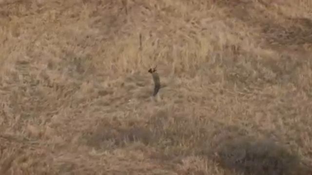 Next Time Jovka Kumanovka (official music video) смотреть онлайн