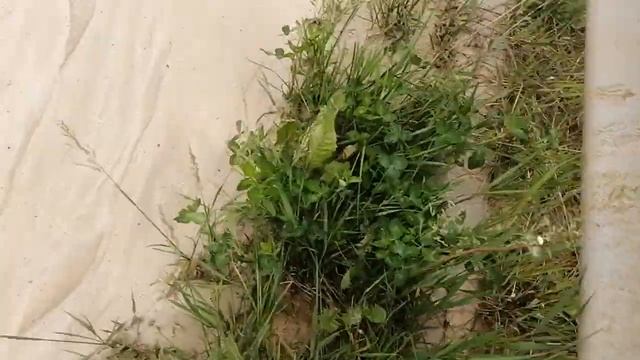 ПЕРВОЕ видео.Красота моста 1-ая часть. смотреть онлайн