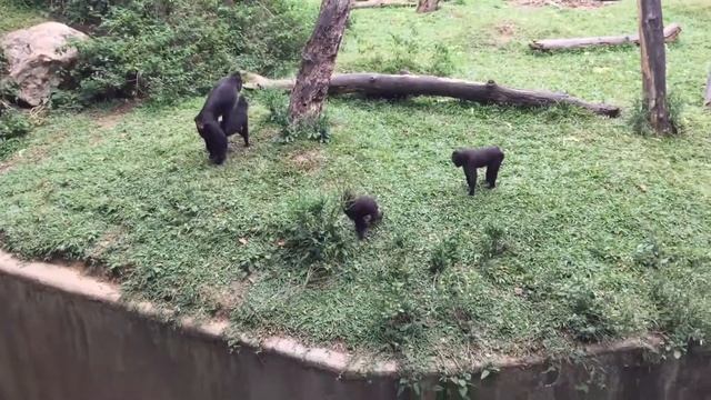 CEBU SAFARI & ADVENTURE PARK