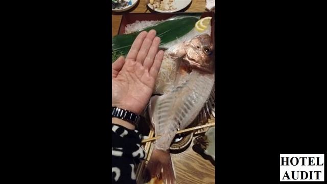 Япония Осака   Chuo   Fishing Restaurant Zauo Namba Honten смотреть онлайн