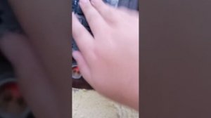 Как надо открывать дверь с помощью домофона