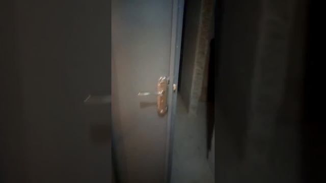 Дверь техническая 0677861342 смотреть онлайн