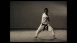 7 Каратэ. Наследие Накаямы. Ката Текки Нидан