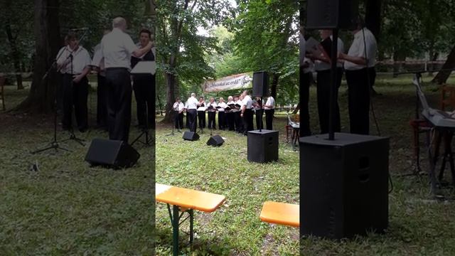 Muzsikál az erdő-Fülek-Kastélypark 4. video Pro Klultúra Füleki Férfikar--Karnagy: Fehér Miklós смотреть онлайн