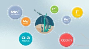 Польза морских водорослей!  Усваивается на 90 % VERTERA GEL для вашей красоты и долголетия!