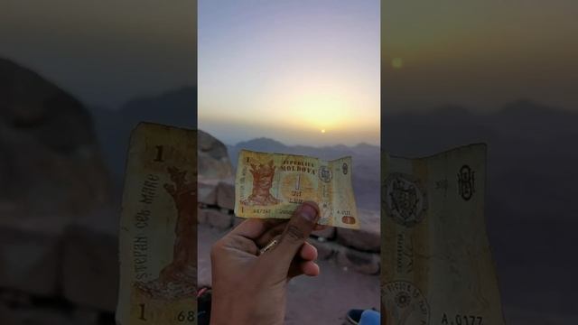 This moldovian leo was brave enough and made it up to the summit of moses mountain 2.5 km height смотреть онлайн