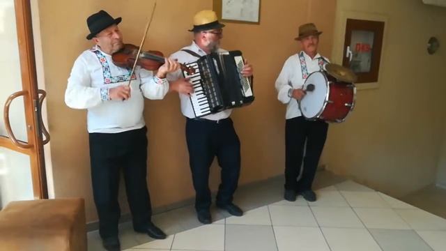 Свято закарпатської кухні в Шаяні смотреть онлайн