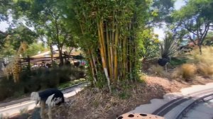 Safari Trek  Ride - Legoland California