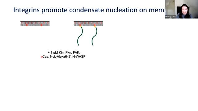 Kitchen Table Talk: Lindsay Case смотреть онлайн