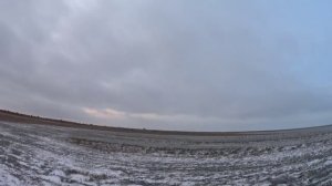 Охота на утку в Ростовской области