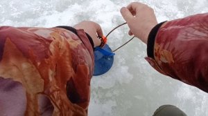 Рыбалка на ЖЕРЛОФИДЕР!!! Клюют брËвна!