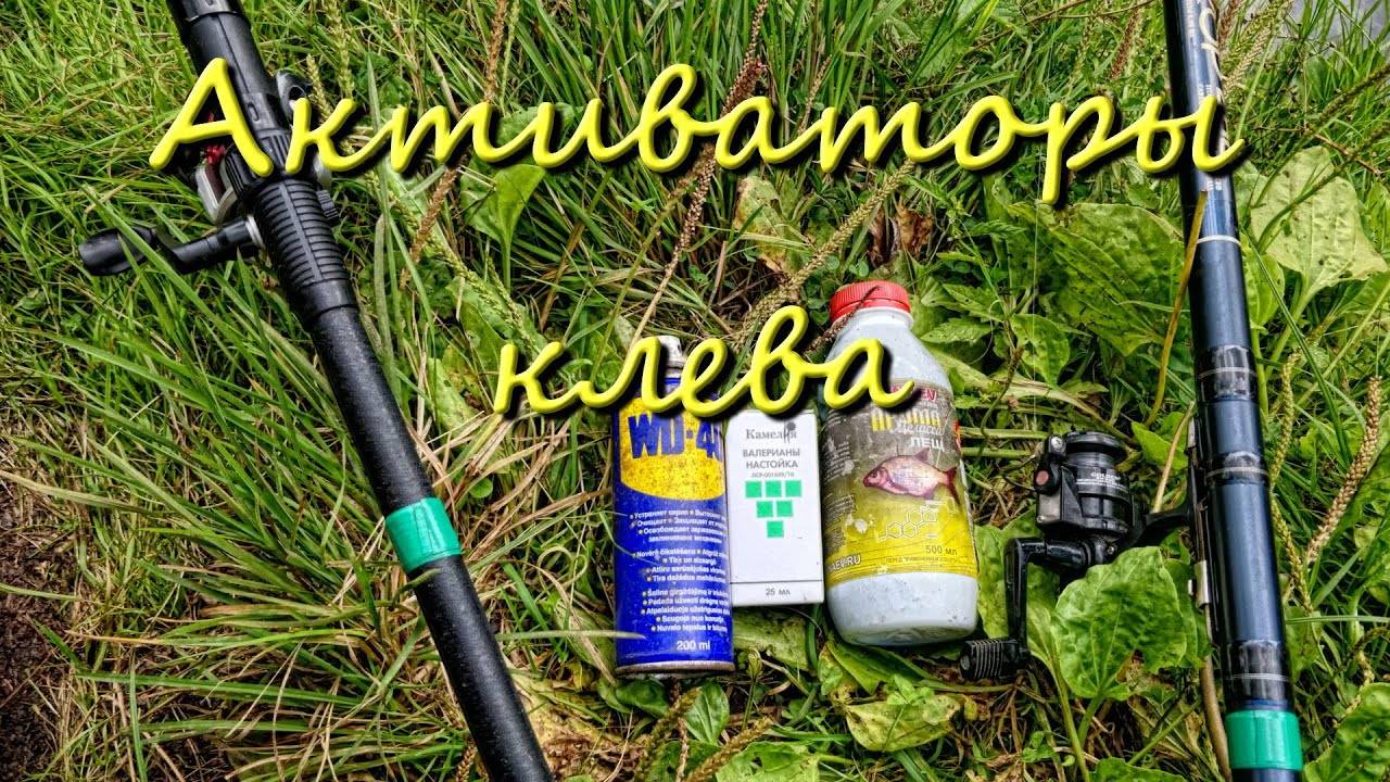 Рыбалка В Подмосковье Павловский Посад Активаторы Клева Мелисса Валерьянка WD 40