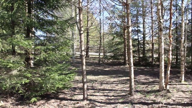 Север Вологодской области. 17. 05. 17. На улице +17 смотреть онлайн