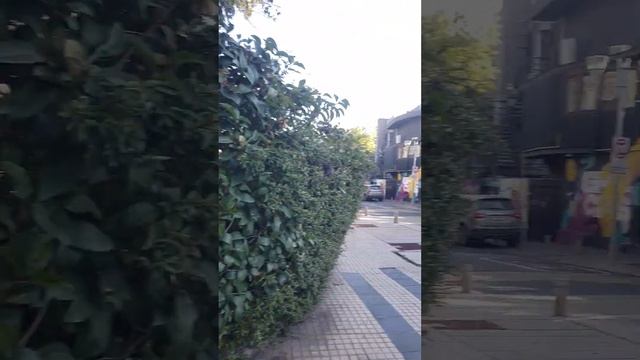 Странная зима на улицах Сантьяго. Чили. #travel #automobile