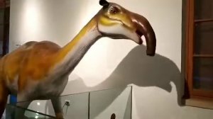 Макраухении