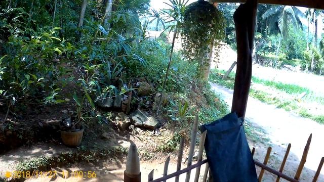 Кафе Эльпития обзор смотреть онлайн