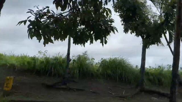 Badung| Bali Indonesia | Safari and Marine Park |Ubud Monkey Forest | Water fall | Rafting | Beach